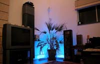DSCN1495